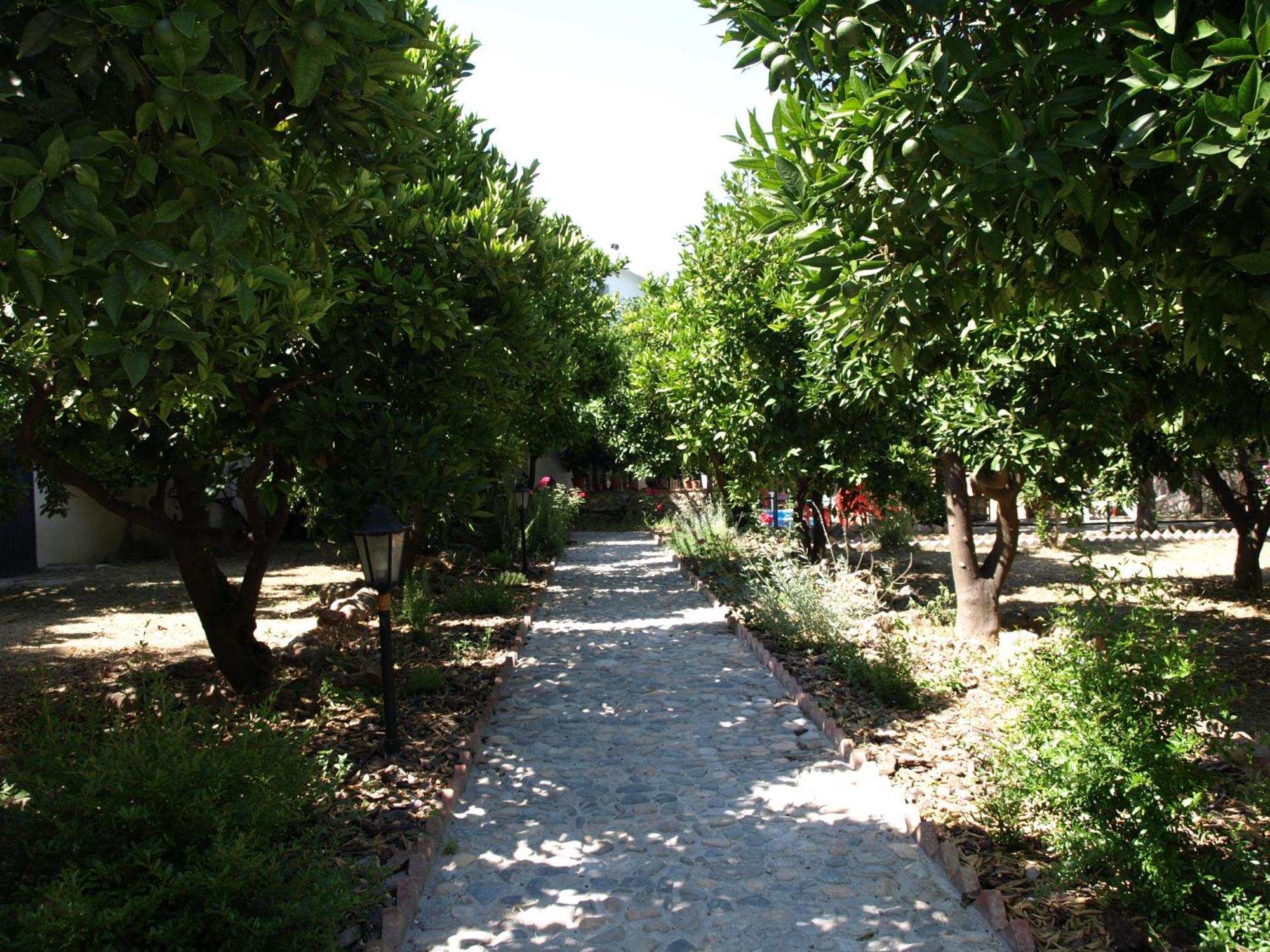 La Despensa Del Valle