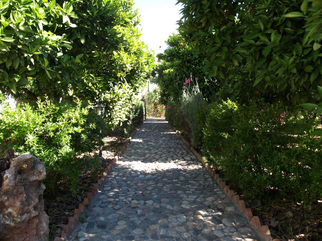 La Despensa Del Valle