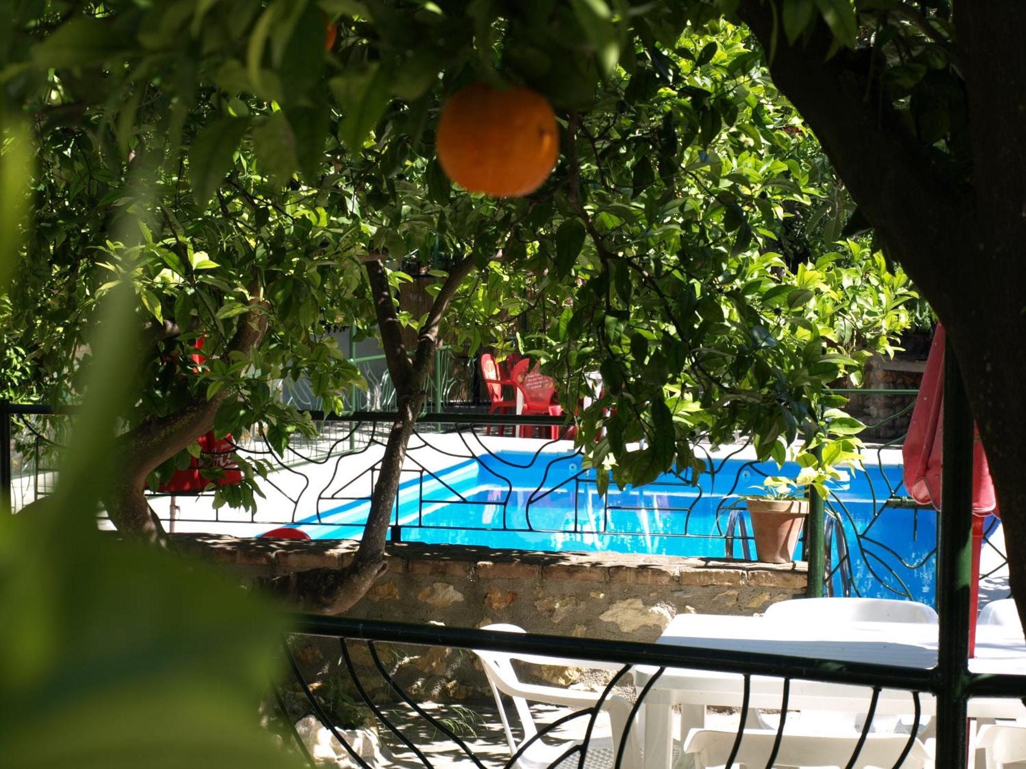 La Despensa Del Valle